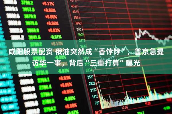 咸阳股票配资 俄油突然成“香饽饽”，普京急提访华一事，背后“三重打算”曝光