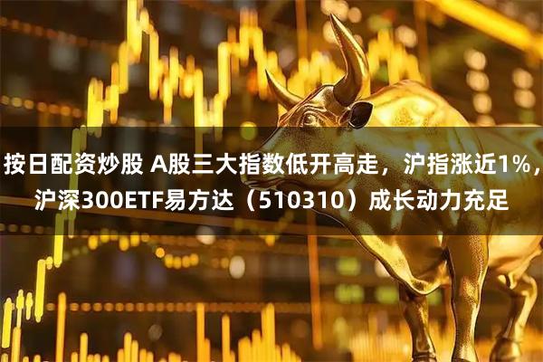按日配资炒股 A股三大指数低开高走，沪指涨近1%，沪深300ETF易方达（510310）成长动力充足